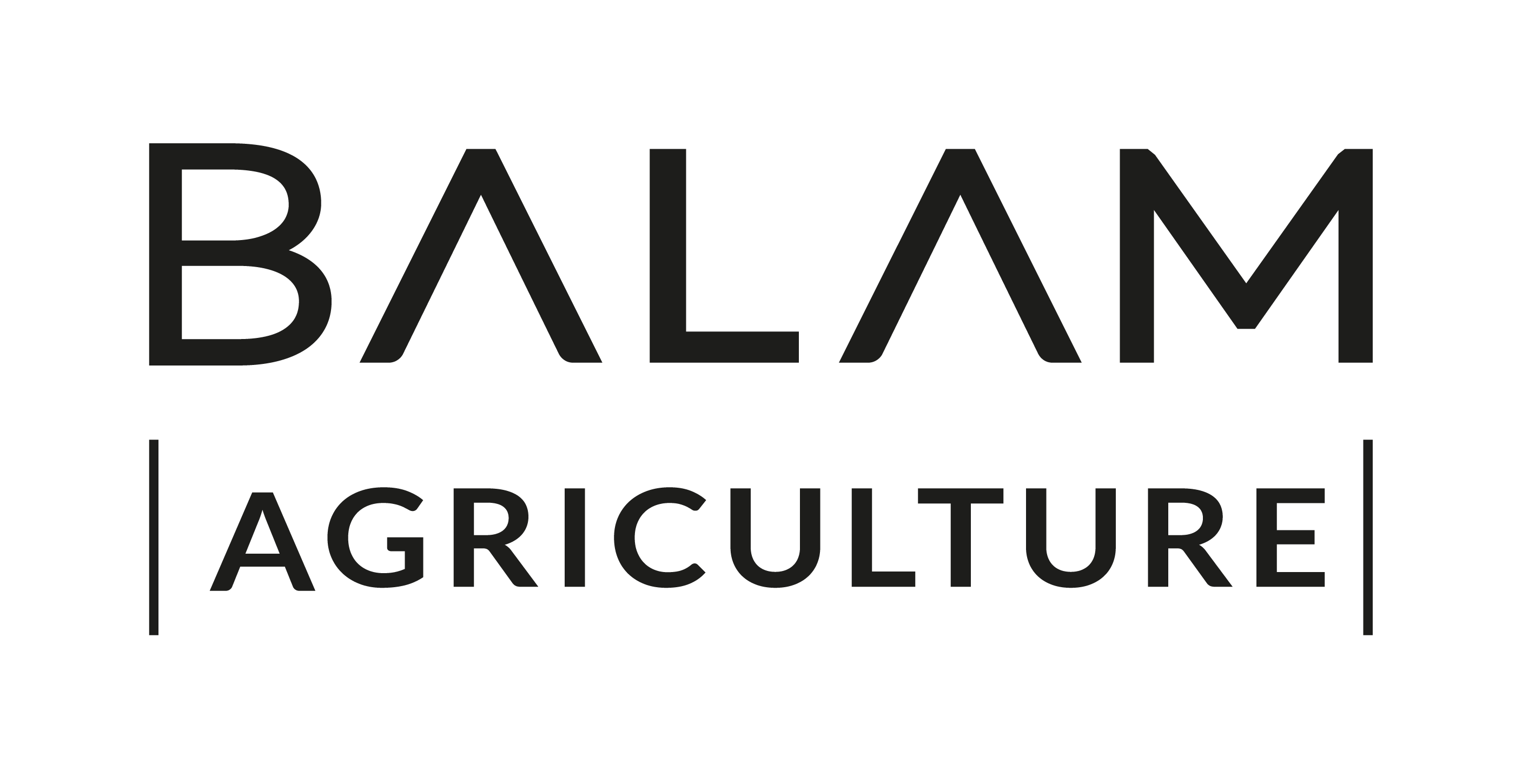 Balam Agriculture