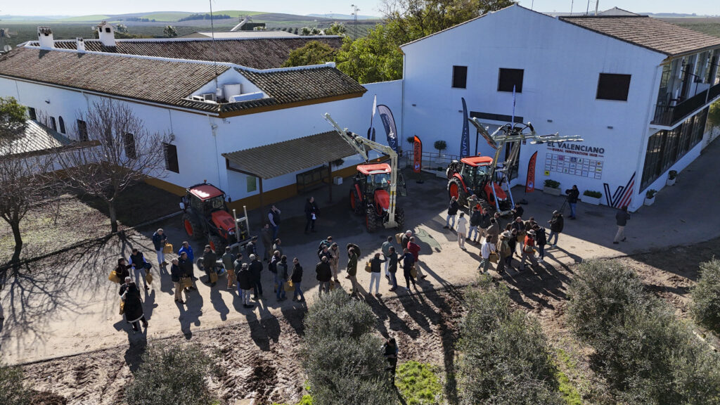 JORNADA DE PODA. FINCA EL VALENCIANO, MARCHENA, SEVILLA. ORGANIZA BALAM AGRICULTURE, COLABORAN JUMAR Y KUBOTA