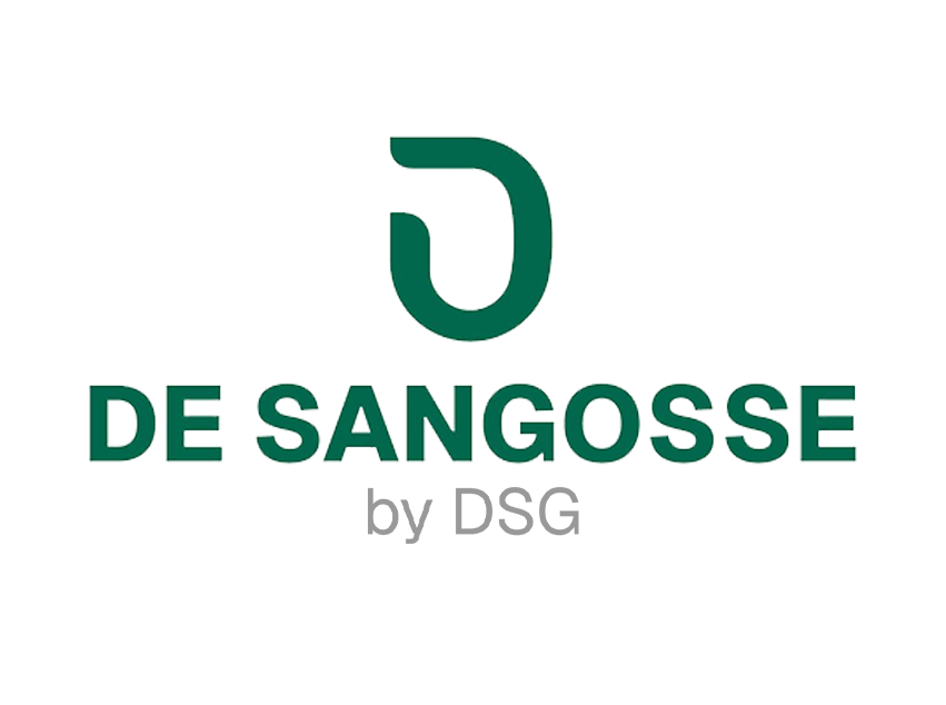 Logo-DSG